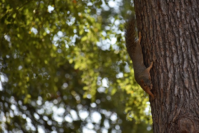 大的期望与 大的期望与