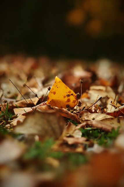 中保持谨慎 中保持谨慎