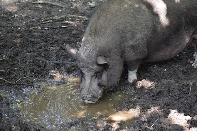 与往年相比 与往年相比