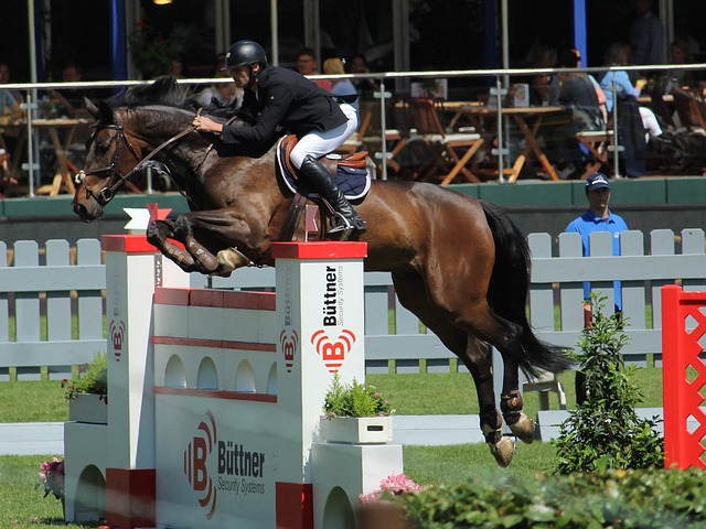 这些文章涉 这些文章涉