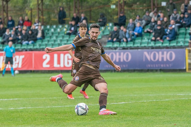 的职业发展 的职业发展