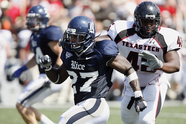 场核心之一 场核心之一