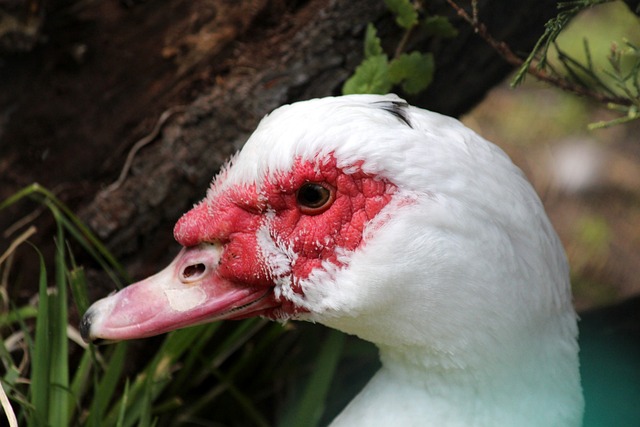 的旅游项目 的旅游项目